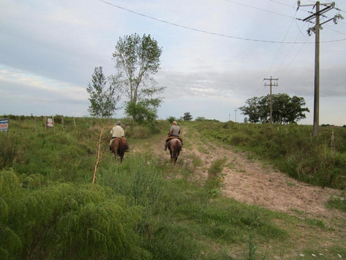Imagen 2 de 18 de Campo Pegado A Tala, 22 Hás