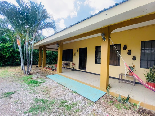 Imagen 12 de 15 de Property For Sale!!! 20 Hectareas