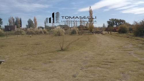 Venta - Chacra Con Casa Y Plantacion- Rama Caida - Mendoza
