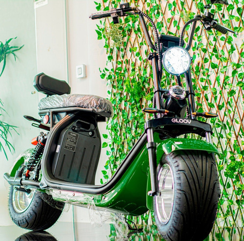 Imagem 11 de 14 de Scooter Eletrica Gloov 2000