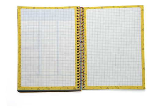 Agenda Planejamento Espiral Frida Kahlo Jandaia 80 Folhas