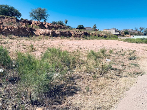 Imagen 2 de 2 de Se Renta Terreno De 570m2. Zona Comercial, Colonia Las Torres, Nogales