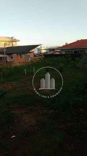 Imagem 7 de 8 de Terreno Em Flor De Nápolis, São José/sc De 300m² À Venda Por R$ 360.000,00 - Te982015-s