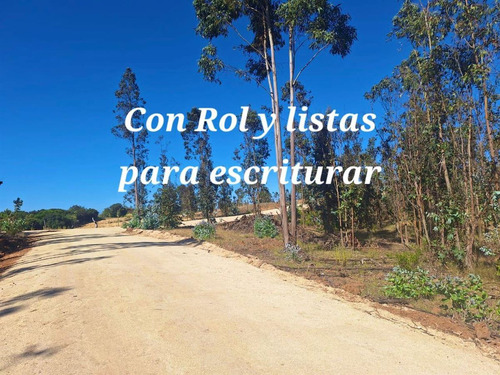 Parcelas Rol Propio A 25 Minutos Matanzas, Pupuya Y Navidad