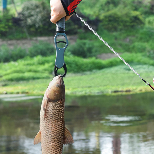Pinza De Pescado Para Pescar, Soporte Para Peces Con De