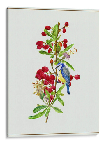 Canvas Lab Cuadro Lycium Barbarum I 60x80, Melissa Wang