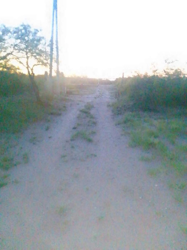 Venta Campo San Luis Nogoli 77 Hectareas Posibilidad Fraccion