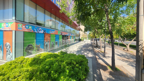 Locales Comerciales En Av. Apoquindo, Metro Los Dominicos