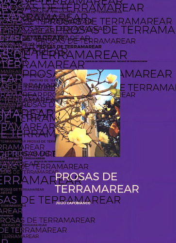 Lost and Found e Prosas de Terramarear - Box, de Capobianco, Júlio. Editorial Editora Terceiro Nome, capa mole em português, 2021