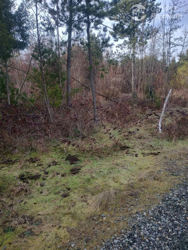 Parcela En Venta En Yungay