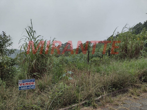 Imagem 1 de 5 de Terreno Em Serra Da Cantareira - São Paulo, Sp - 371762