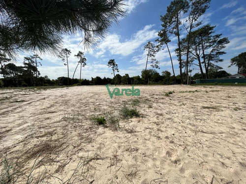 Imagen 5 de 9 de Venta De Terrenos En Salinas Sur