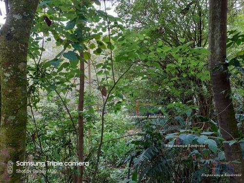 Imagem 8 de 12 de Ref.: 566 - Terrenos Em Cotia Para Venda - V566