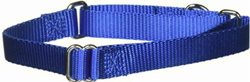 Petsafe Collar Martingale, 3/4 Pulgadas, Mediano, Azul Rey