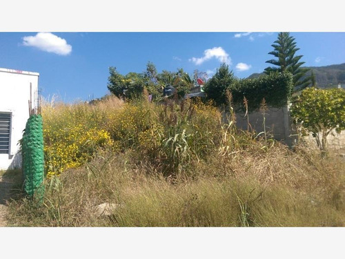 Imagen 1 de 12 de Terreno En Venta Amanecer De Sabines