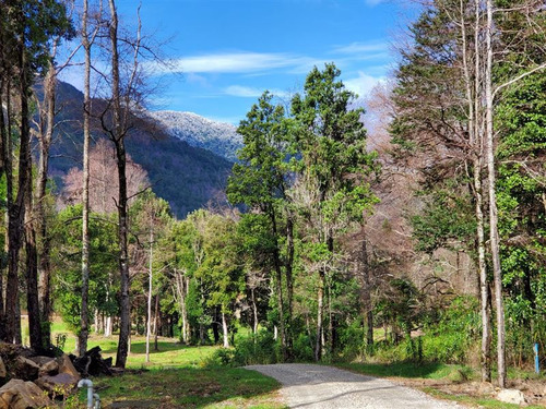 Sitio En Venta En Cunco