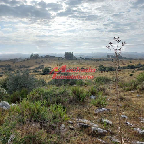 Imagen 15 de 15 de Chacra En Venta En Ruta 12 Pueblo Eden