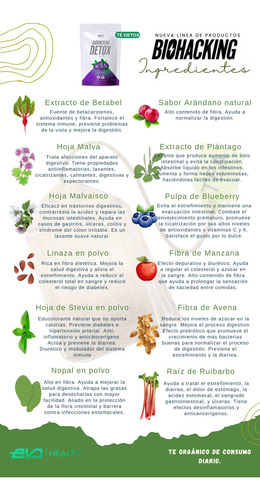 Evo Health Té Detox Herbal Adelgazar 3 Saquitos Biohacking3s