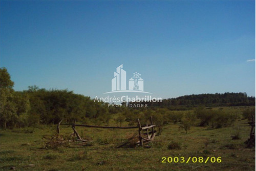 Imagen 4 de 6 de 75 Has. Colonia Ayuí