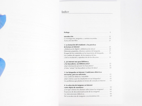 Flora Perelman - Enseñando A Leer En Internet - Aique (Usado)
