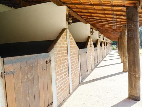 Imagem 7 de 15 de Cód 4283- Magnifico Haras Em Ibiúna Com 80.000 M². - 4283