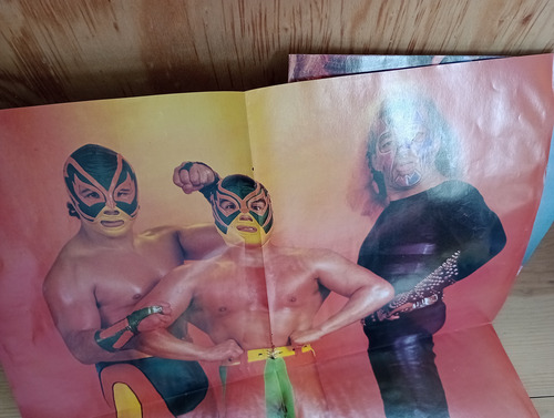 Revista Arena De Lucha Libre No. 16 Incluye Sus 4 Pósteres (Usado)