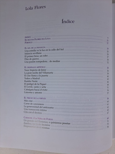 El Volcan Y La Brisa De Lola Flores - G Garzon Libro Nuevo