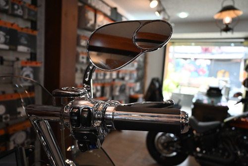 Imagen 13 de 15 de Harley-davidson Cvo Softail Convertible