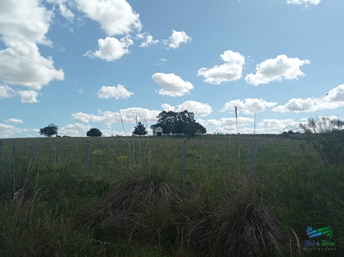 Imagen 19 de 20 de Vendo Chacra 5 Hectateas Con Casa En Ruta 39, Las Cañas - Las Cañas Las Cañas