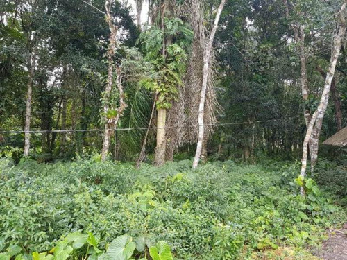 Chácara Com 5 Mil Mts No Gaivota Em Itanhaém - 4500 Npc