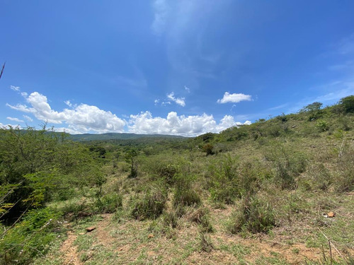 Finca De 4 Hectareas Con  vista Hacia La Serrania De Los Yariguies