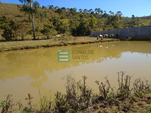 Imagem 2 de 15 de Edinaldo Santos - Bairro Igrejinha, Granja De 1.750 M2 Com Grande Lago - 1039