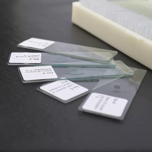 Portaobjetos Para Microscopio, Portaobjetos Preparados Portá