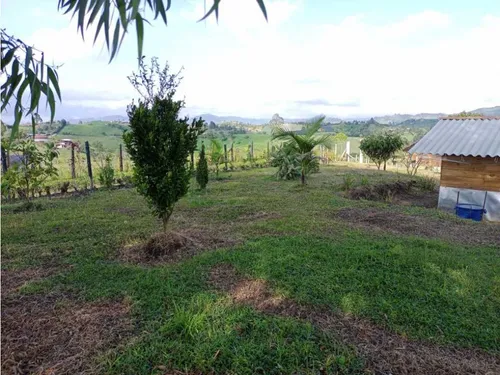 Lindo Lote En Venta Con Excelente Vista Y Aprovechamiento - Carmen Víb