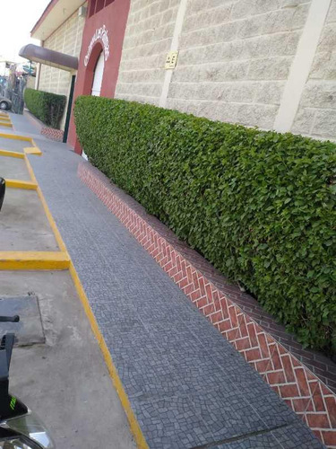 Quinta En Venta En Nueva Laguna Sur En Torreón, Coahuila