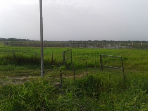 Terreno En Venta En Conkal