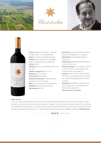 Vino Clos De Los 7 Siete - Michel Rolland