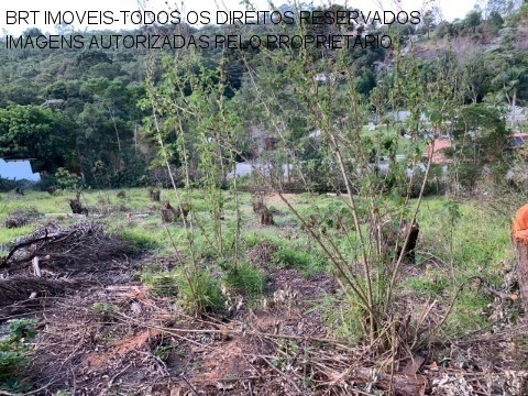 Imagem 1 de 6 de Terreno - Te00119 - 34265917