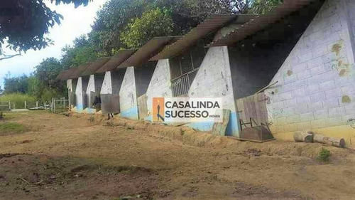 Imagem 14 de 30 de Sítio Com 3 Dormitórios À Venda, 28000 M² Por R$ 1.100.000 - Mogi Das Cruzes - Mogi Das Cruzes/sp - Ch0039