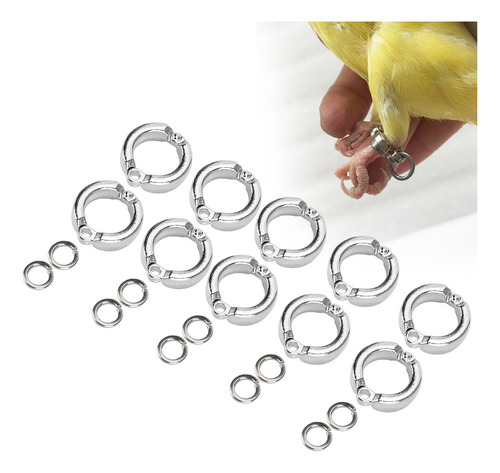 Anillos Para Piernas De Loros Y Pájaros, 10 Unidades, Para A