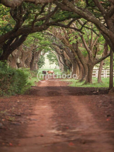 Terreno À Venda Haras Patente Jaguariúna Sp - Te00146 - 68211321