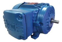 Comprar Motor Trifásico 0.25cv Weg 4 Polos 220\u002F380v W22 Ir3 Premium