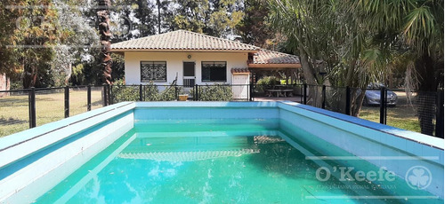 Imagen 4 de 20 de Quinta En Venta En Abasto 4180 Mts. Con Muy Buena Forestación