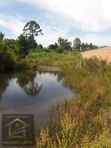 Imagem 8 de 11 de Terreno Com 2.500m² Em Quatro Barras - Te00022 - 33357972