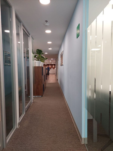 Oficina En Renta En Masaryk Polanco, Miguel Hidalgo Requisitos Minimos