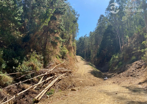 Parcela En Venta En San Pedro De La Paz