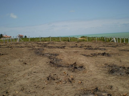 Imagem 19 de 30 de Magnífico Lote De 1.350m² Com Vista Mar À 250m De Praia Bela - Te0802