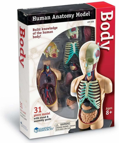 Learning Resources Recursos para el Aprendizaje LER6044 doble cara magn-tica del cuerpo humano 