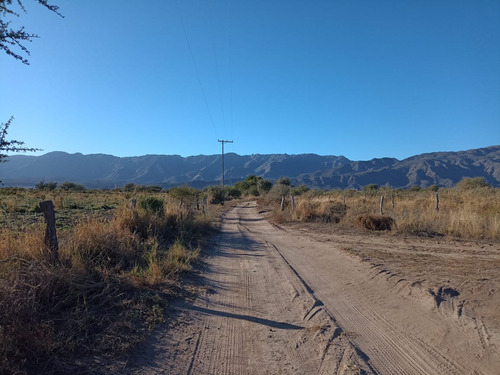 Chacra En Carpintería