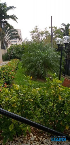 Imagem 9 de 15 de Apartamento - Jardim Textil - Sp - 597647